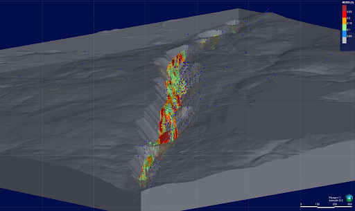 Figure 1- 2025 Mineral Resource Model